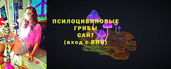 кокс Тайга