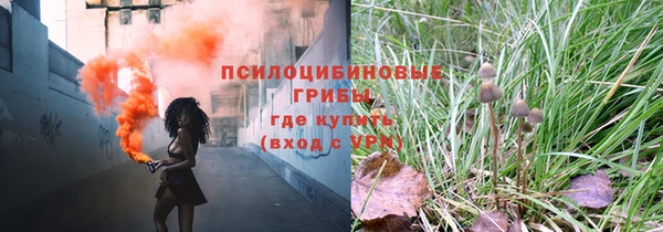 скорость mdpv Новодвинск