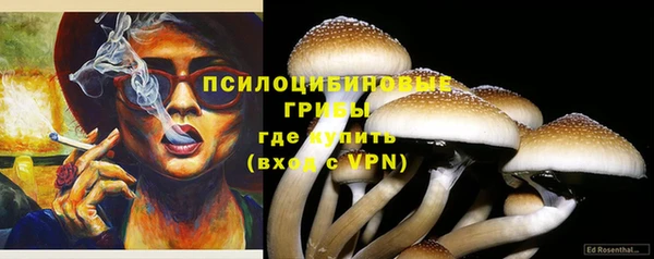 ALPHA PVP Новокубанск
