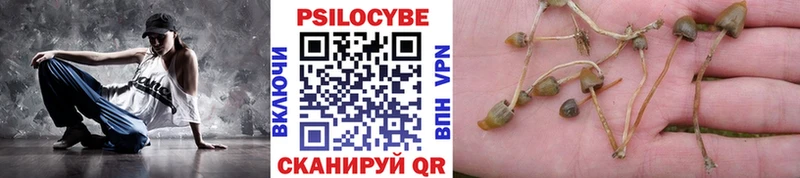 Галлюциногенные грибы Magic Shrooms  где продают   kraken онион  Подпорожье 