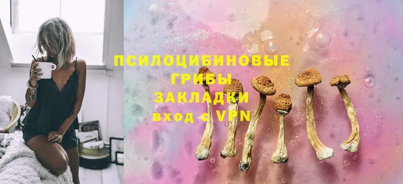 цены наркотик  Подпорожье  мега ссылка  Псилоцибиновые грибы Cubensis 