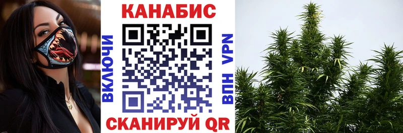 Канабис план  Подпорожье 